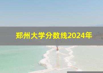 郑州大学分数线2024年