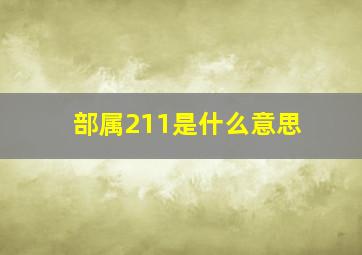 部属211是什么意思