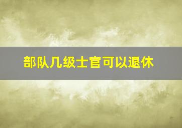 部队几级士官可以退休