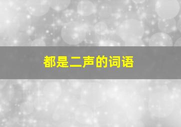 都是二声的词语