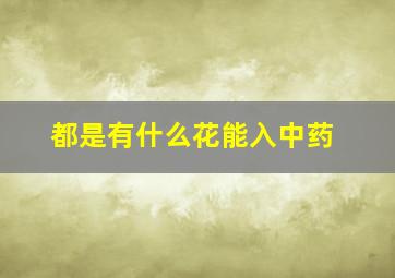 都是有什么花能入中药