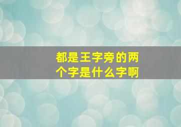 都是王字旁的两个字是什么字啊