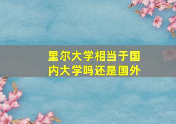 里尔大学相当于国内大学吗还是国外