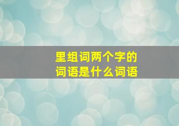 里组词两个字的词语是什么词语