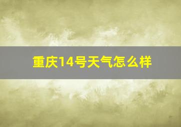 重庆14号天气怎么样