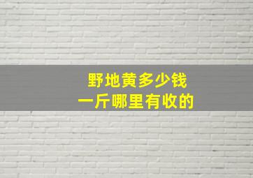 野地黄多少钱一斤哪里有收的