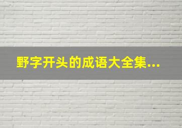 野字开头的成语大全集...