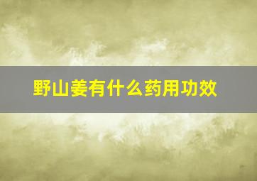 野山姜有什么药用功效