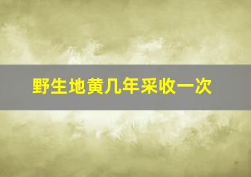 野生地黄几年采收一次