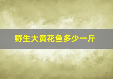 野生大黄花鱼多少一斤