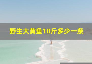 野生大黄鱼10斤多少一条