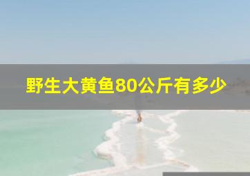 野生大黄鱼80公斤有多少