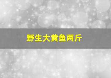 野生大黄鱼两斤