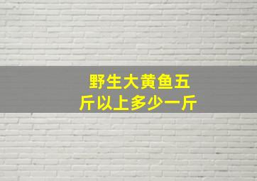 野生大黄鱼五斤以上多少一斤