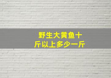 野生大黄鱼十斤以上多少一斤