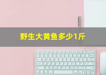 野生大黄鱼多少1斤