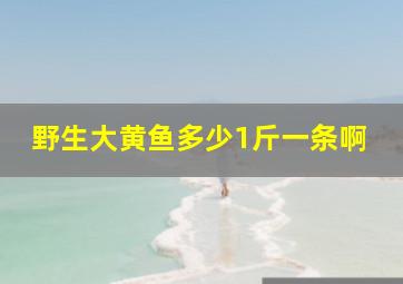 野生大黄鱼多少1斤一条啊