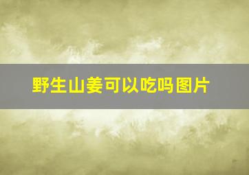 野生山姜可以吃吗图片