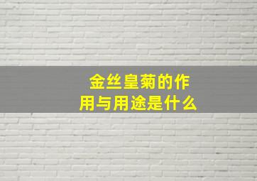 金丝皇菊的作用与用途是什么