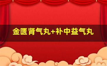 金匮肾气丸+补中益气丸