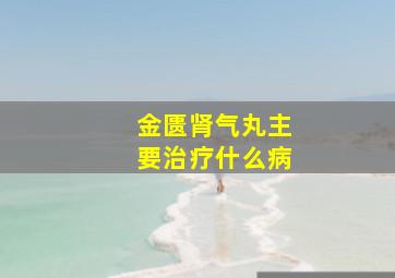 金匮肾气丸主要治疗什么病