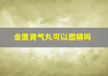 金匮肾气丸可以固精吗