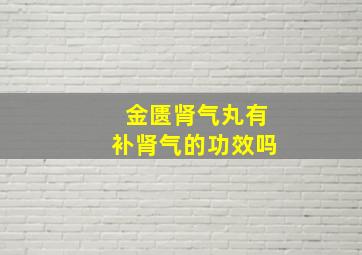 金匮肾气丸有补肾气的功效吗