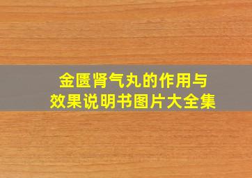 金匮肾气丸的作用与效果说明书图片大全集