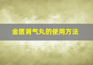 金匮肾气丸的使用方法