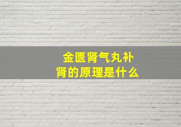 金匮肾气丸补肾的原理是什么