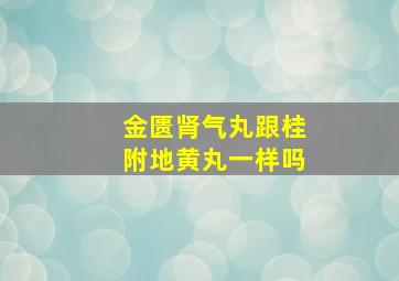 金匮肾气丸跟桂附地黄丸一样吗