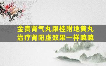 金贵肾气丸跟桂附地黄丸治疗肾阳虚效果一样嘛嘛