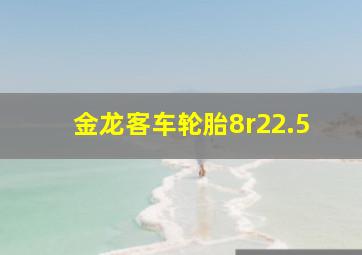 金龙客车轮胎8r22.5