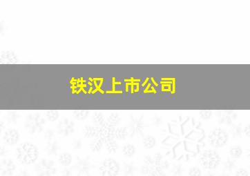 铁汉上市公司