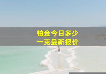 铂金今日多少一克最新报价