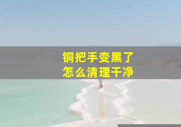 铜把手变黑了怎么清理干净