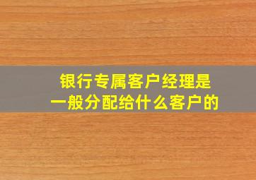 银行专属客户经理是一般分配给什么客户的