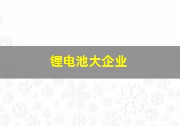 锂电池大企业