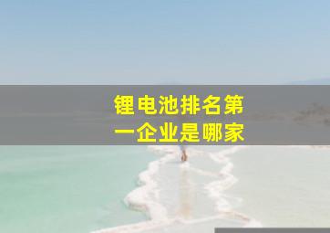 锂电池排名第一企业是哪家