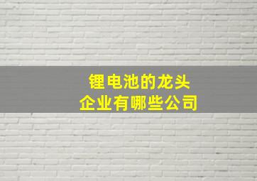 锂电池的龙头企业有哪些公司