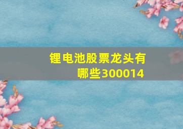 锂电池股票龙头有哪些300014