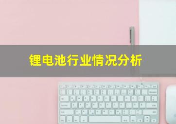 锂电池行业情况分析