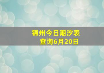 锦州今日潮汐表查询6月20日