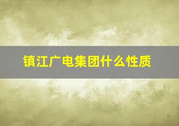 镇江广电集团什么性质