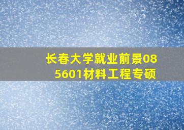 长春大学就业前景085601材料工程专硕