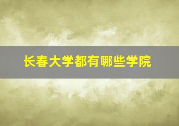 长春大学都有哪些学院