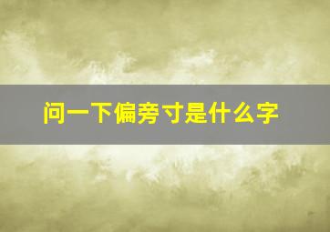 问一下偏旁寸是什么字