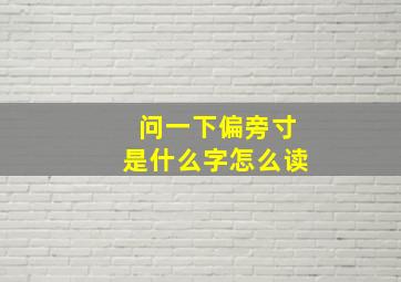 问一下偏旁寸是什么字怎么读