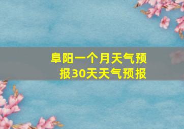 阜阳一个月天气预报30天天气预报