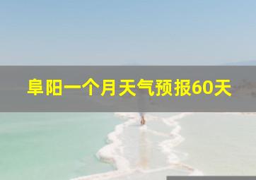 阜阳一个月天气预报60天